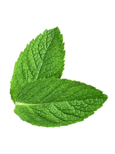 Mint